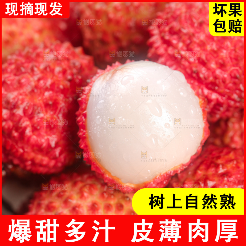 浅底上的桂味荔枝