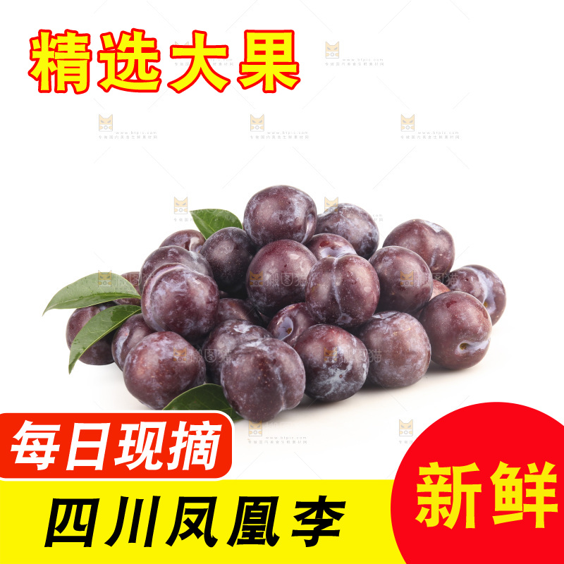 白底上的五月脆李子