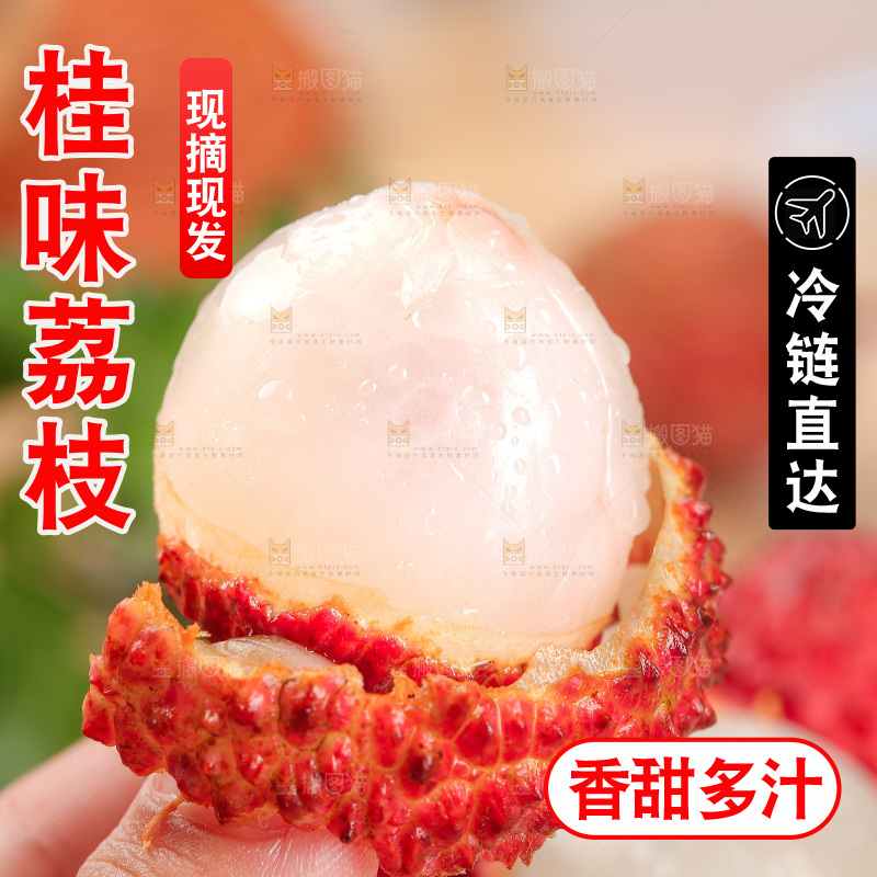 桂味荔枝主图