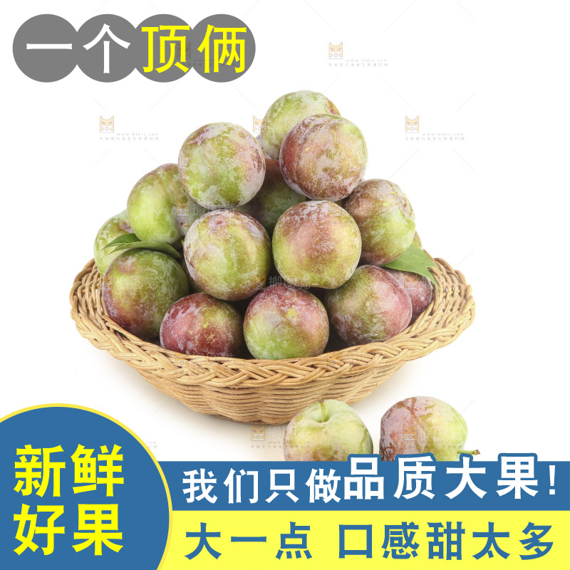 白底上的五月脆