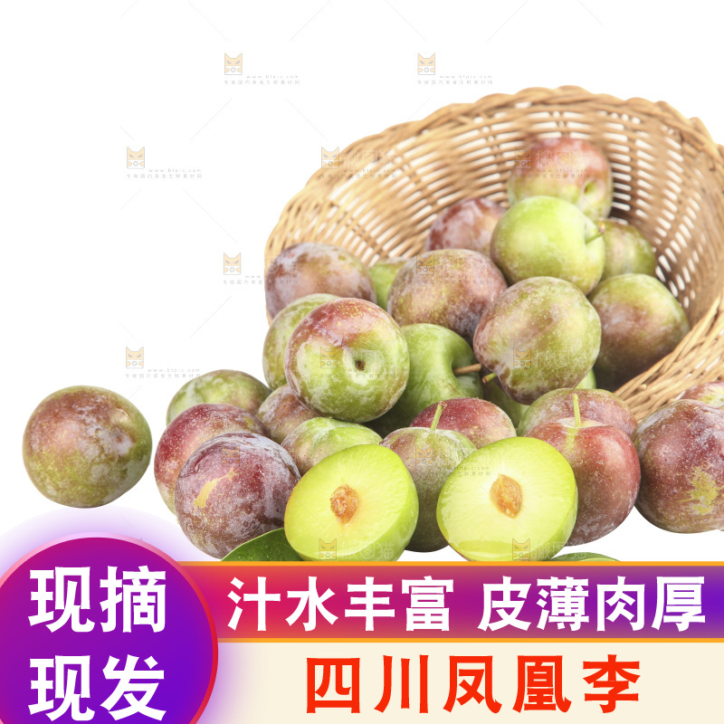白底上的五月脆