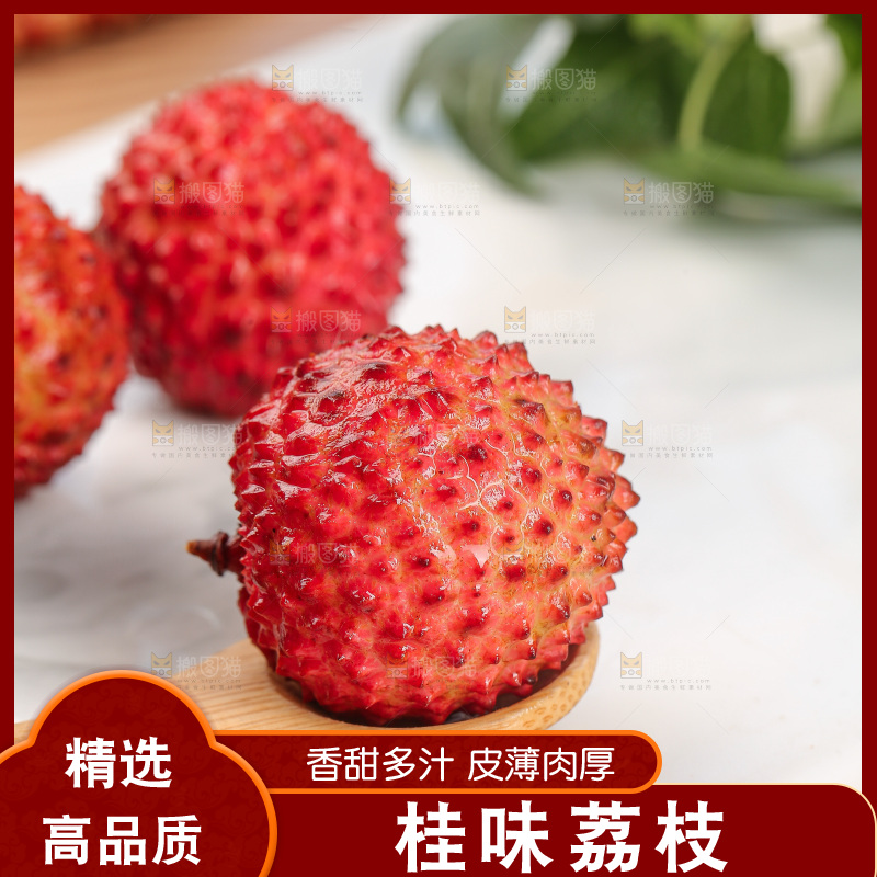 浅底上的桂味荔枝
