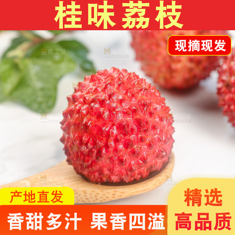 浅底上的桂味荔枝