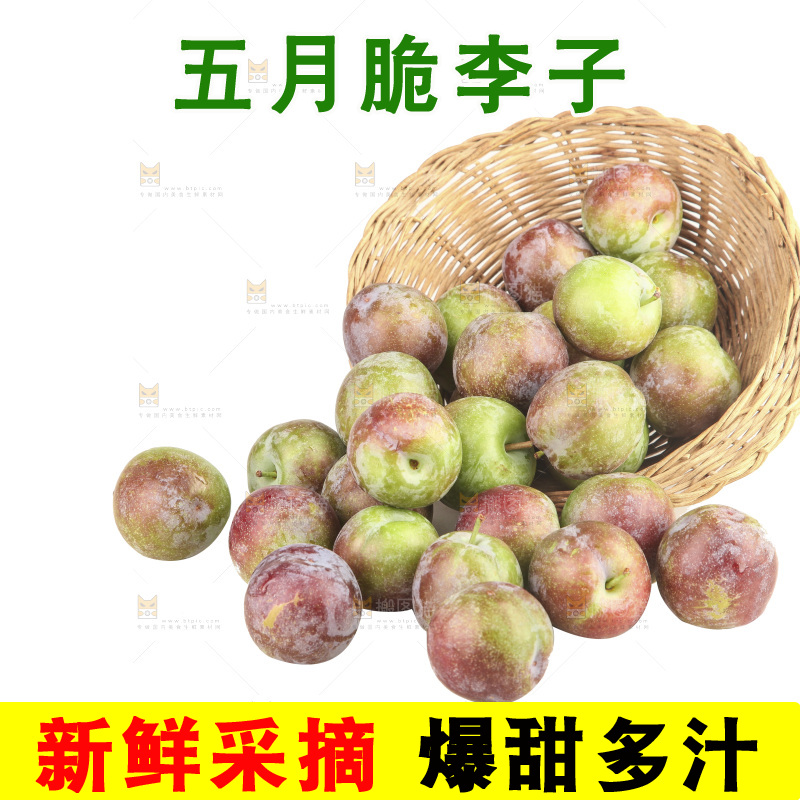 白底上的五月脆