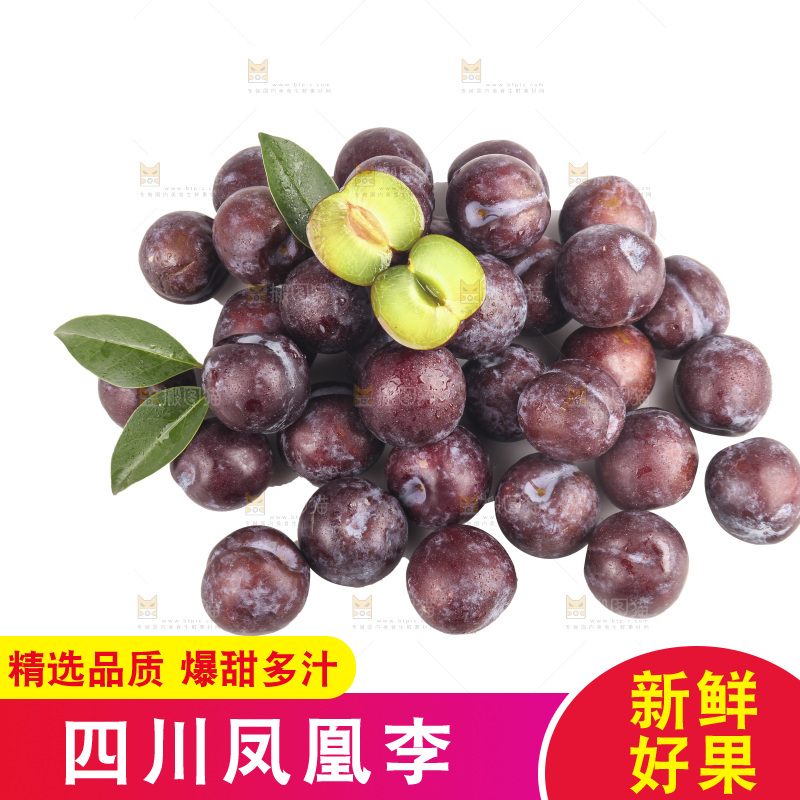 白底上的五月脆李子