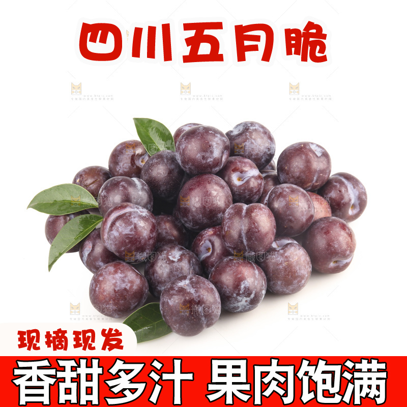 白底上的五月脆李子
