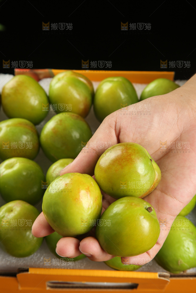 木底上的大梨杏