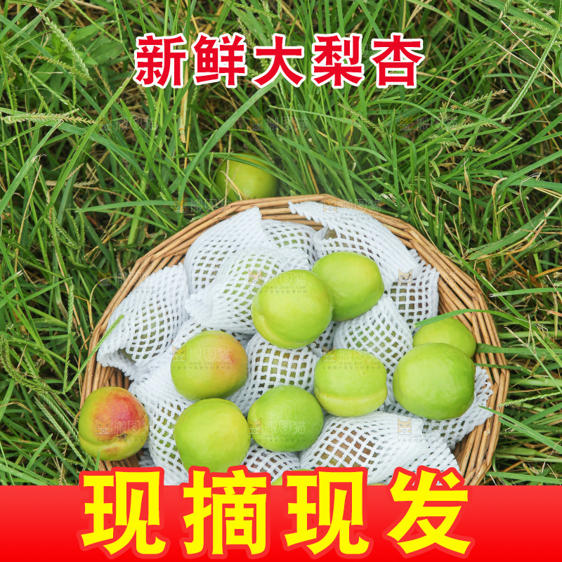 草地上放着大梨杏