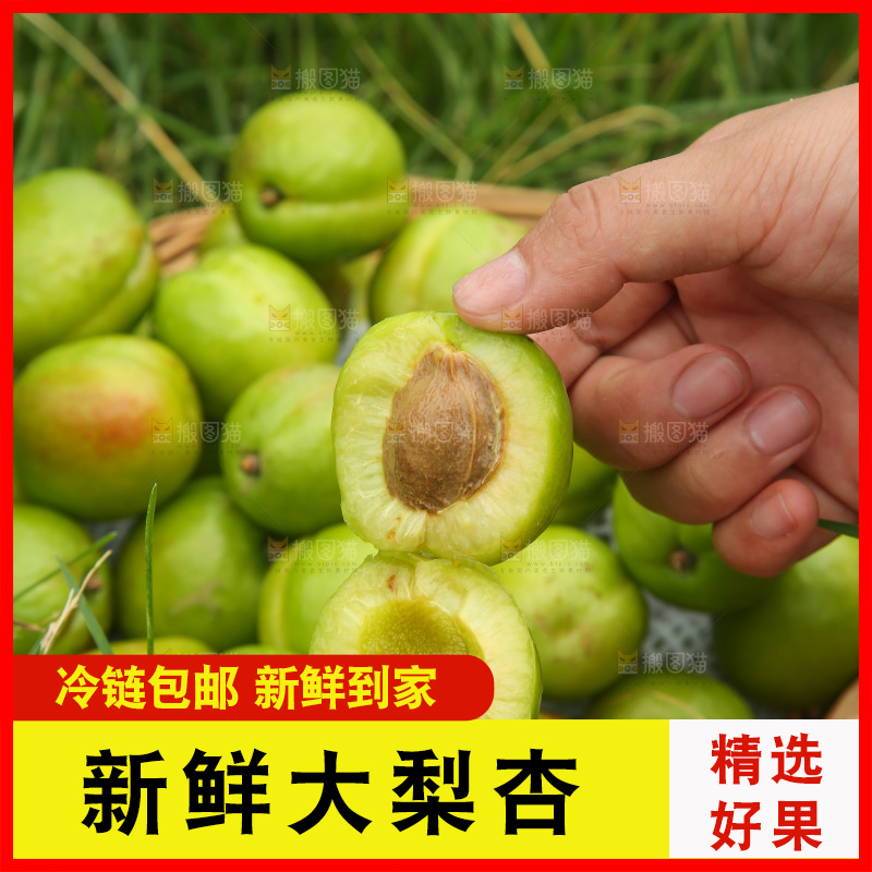手里拿着大梨杏