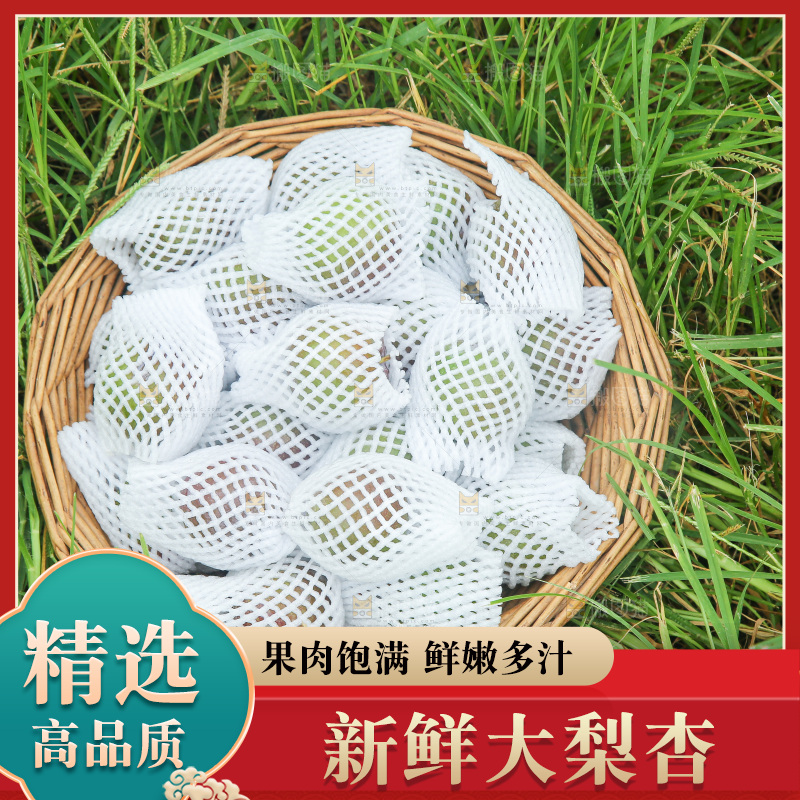草地上放着大梨杏