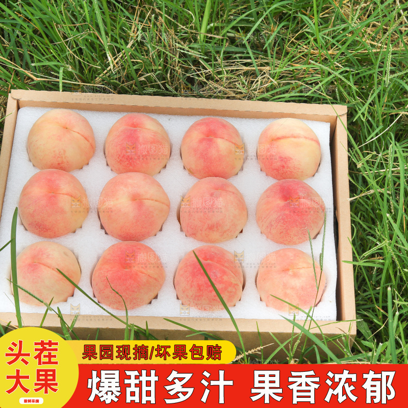 草地上的一箱阳山水蜜桃
