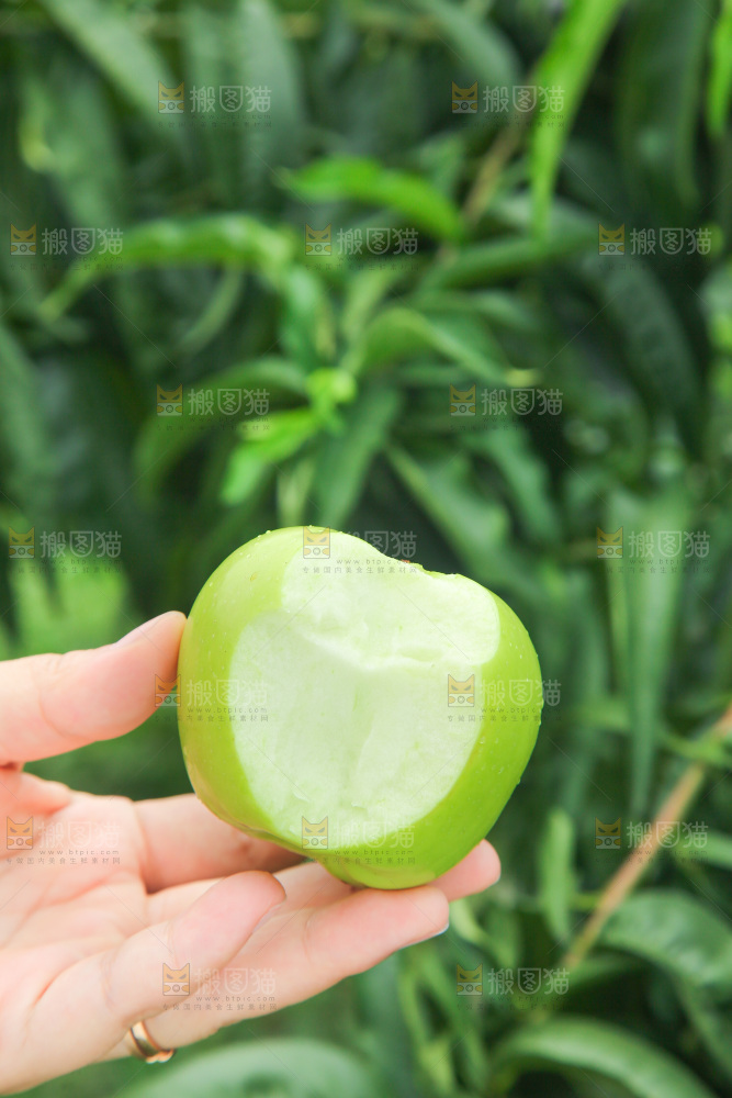 手里拿着青苹果