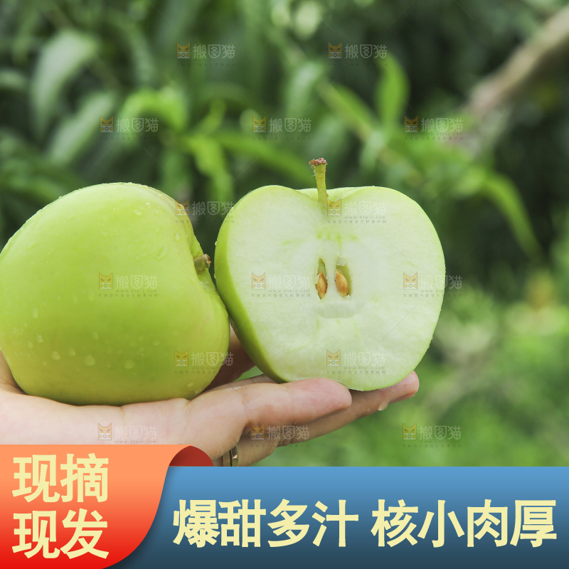手里拿着青苹果
