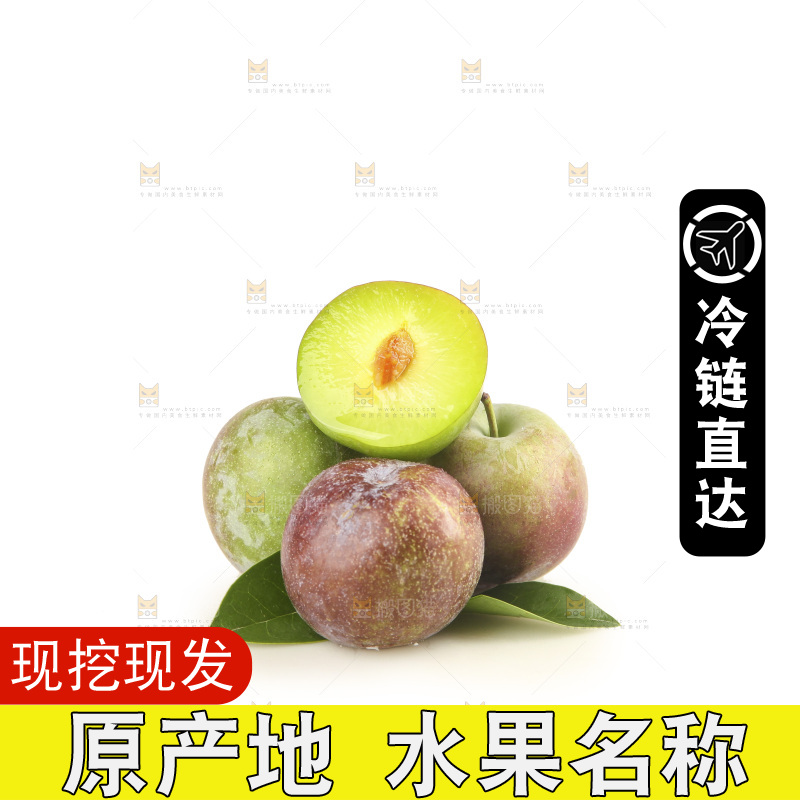 白底上的五月脆