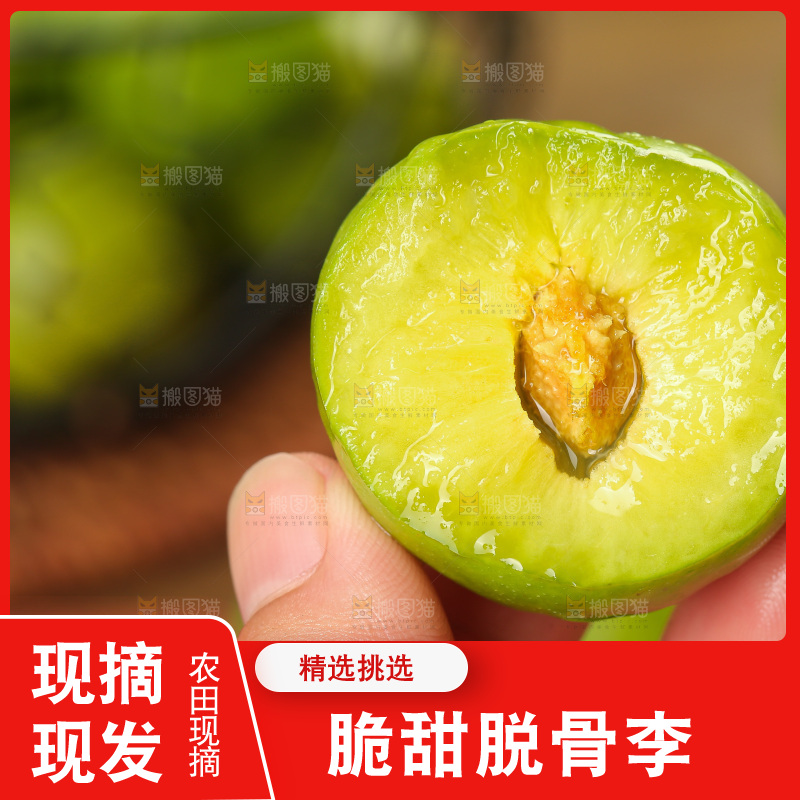 木底上的脱骨李