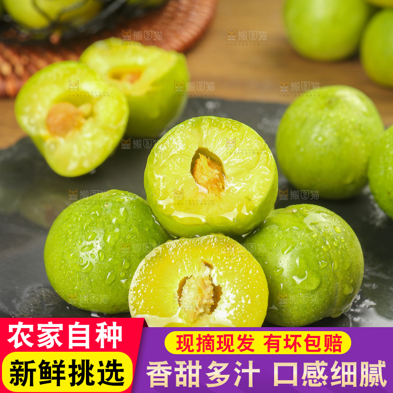木底上的脱骨李