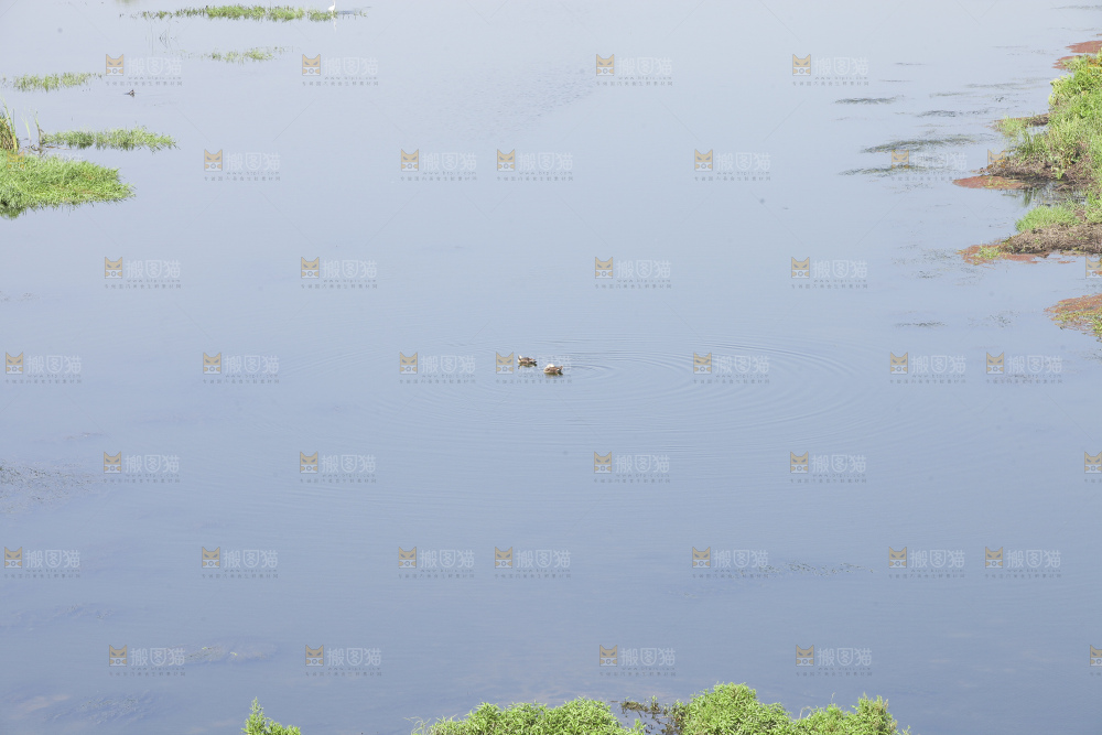 清澈风底的湖水