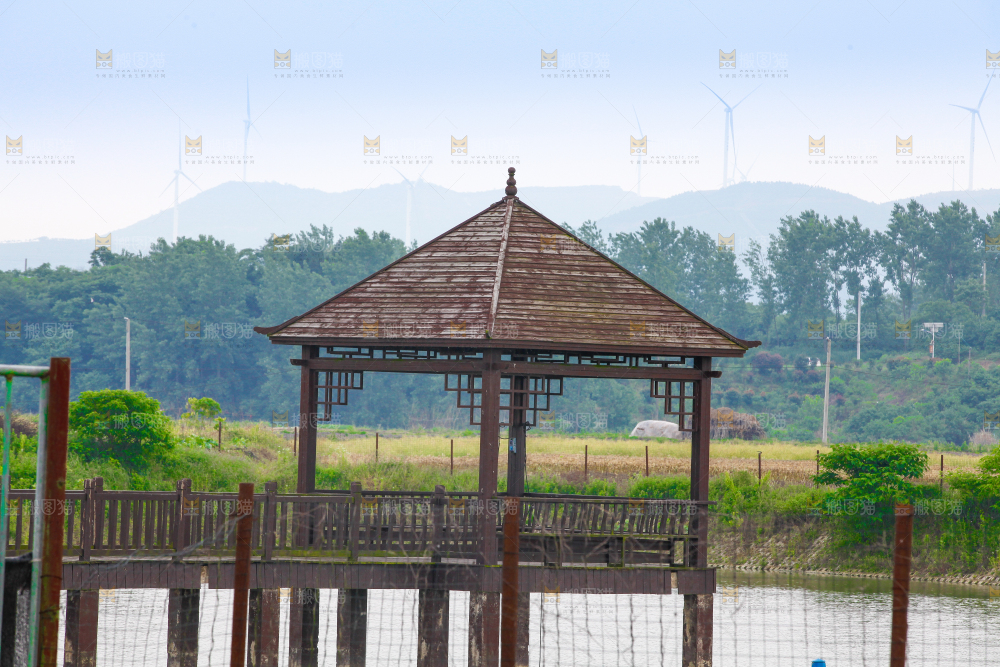 户外风景河水