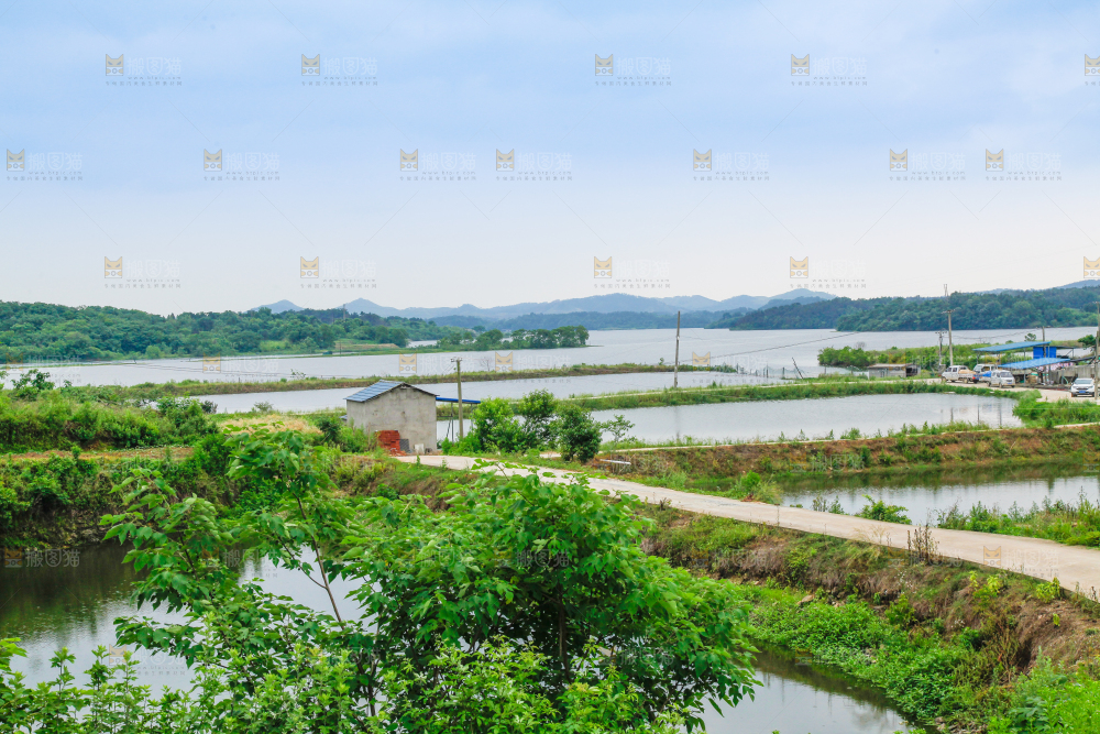 户外风景河水