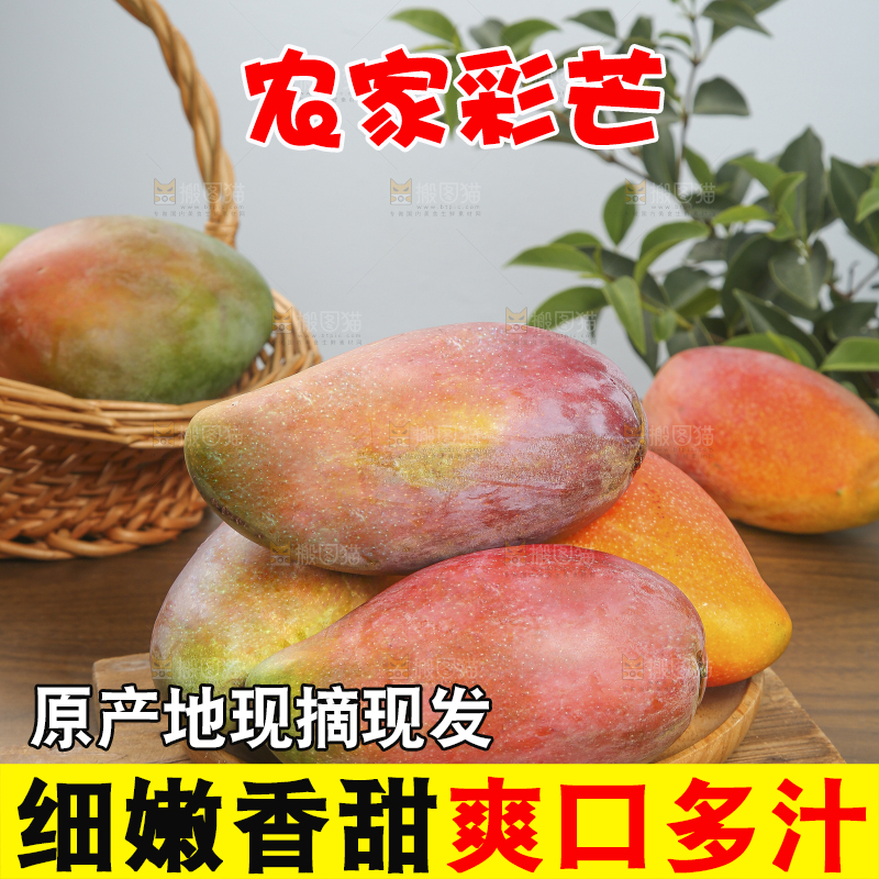 木底上放着的彩芒