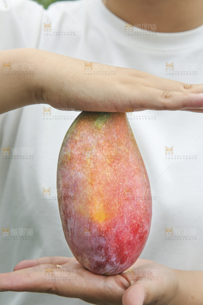 手里拿着贵妃芒