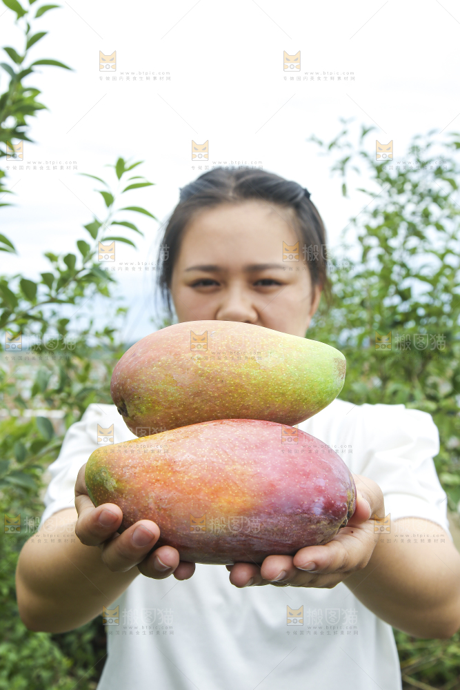 手里拿着贵妃芒