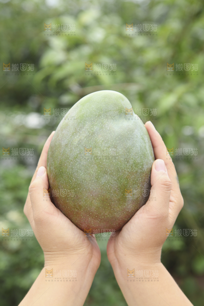 手里拿着凯特芒