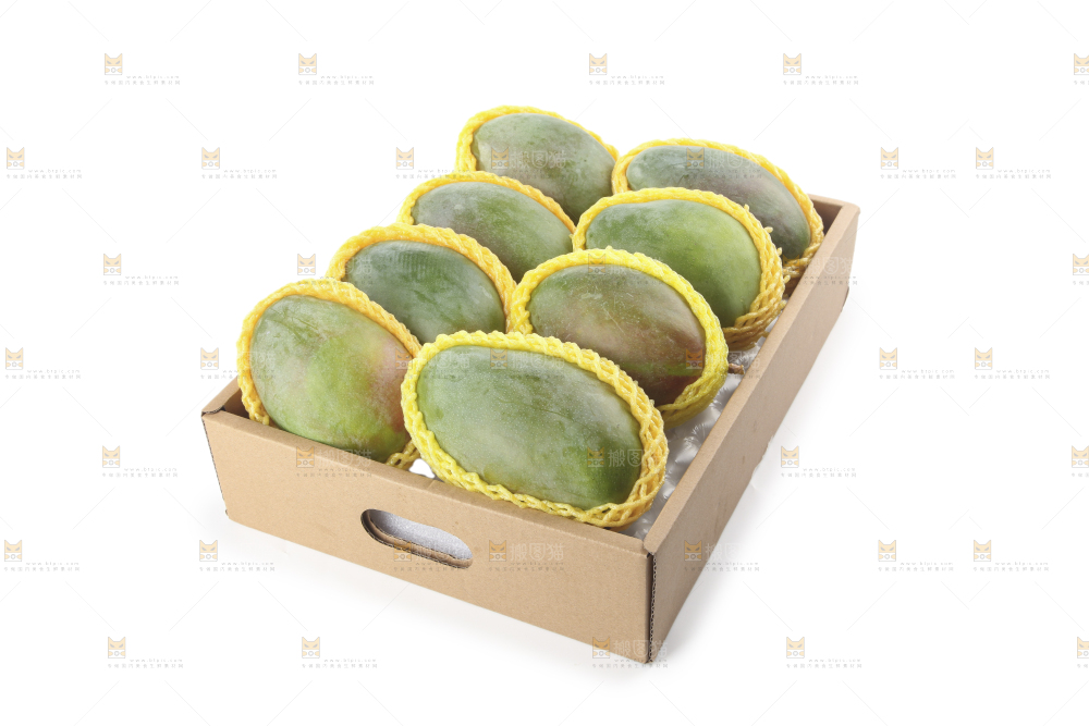白底上的凯特芒