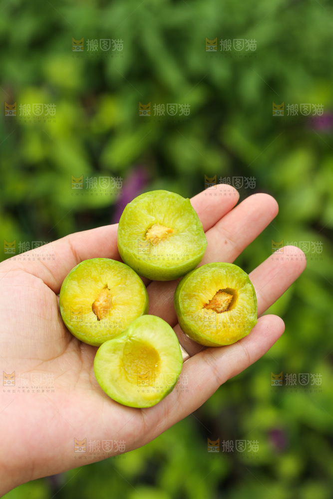 手里拿着脱骨李