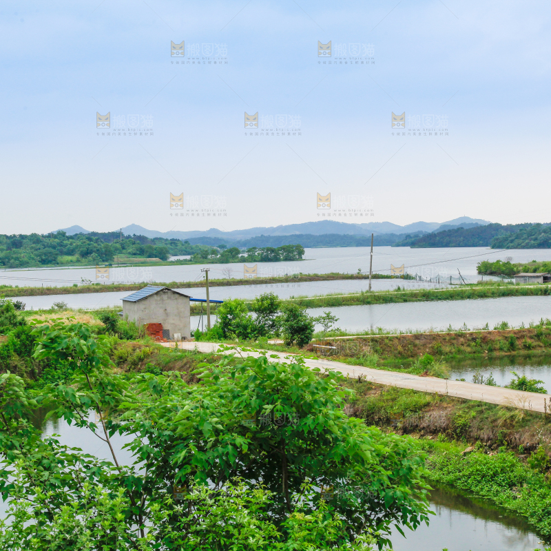 户外风景河水