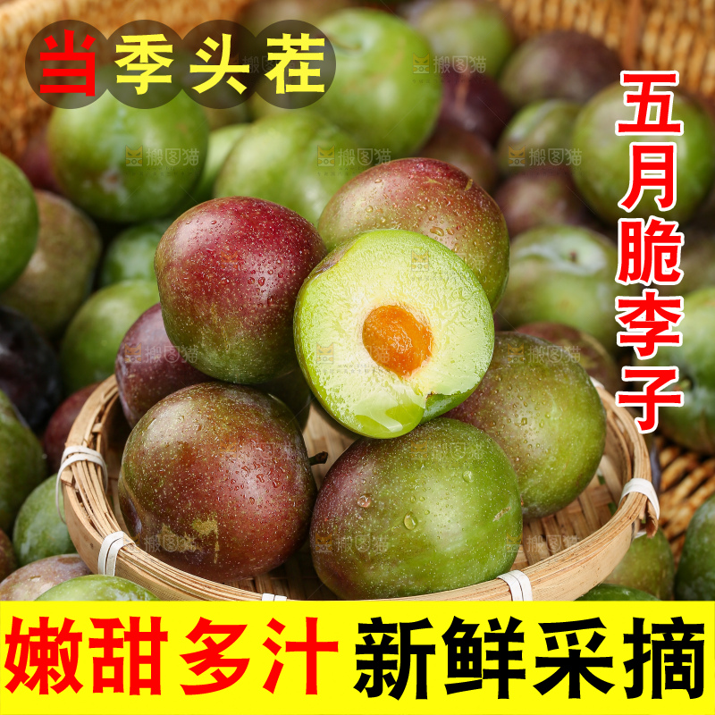 木底上的五月脆