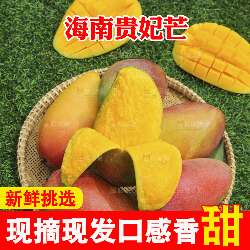 深底上的贵妃芒