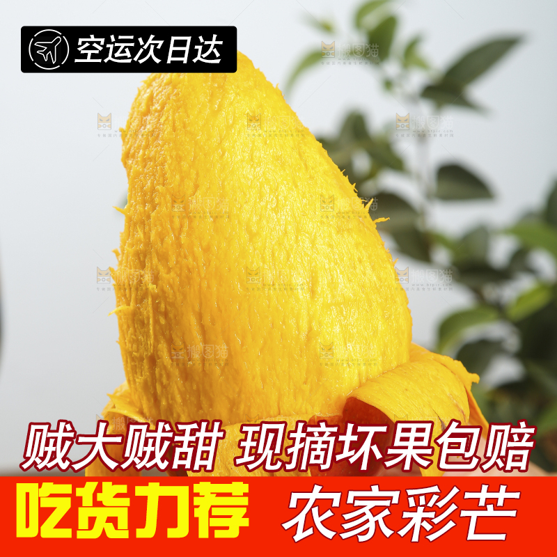 木底上放着的彩芒