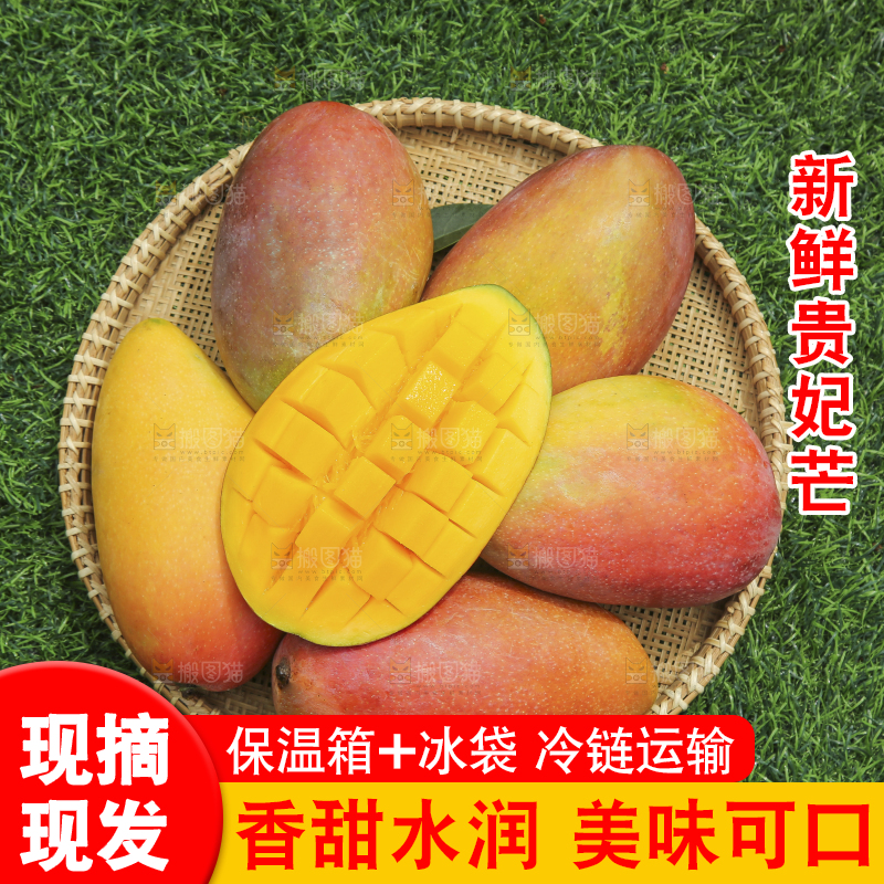 深底上的贵妃芒