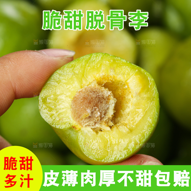 手里拿着脱骨李