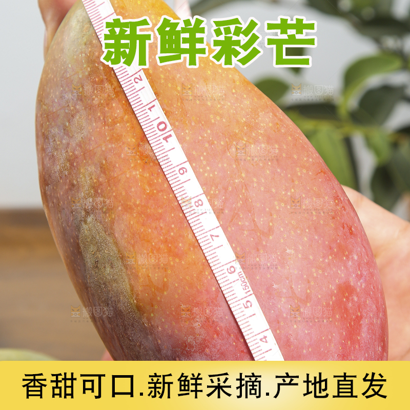 木底上放着的彩芒
