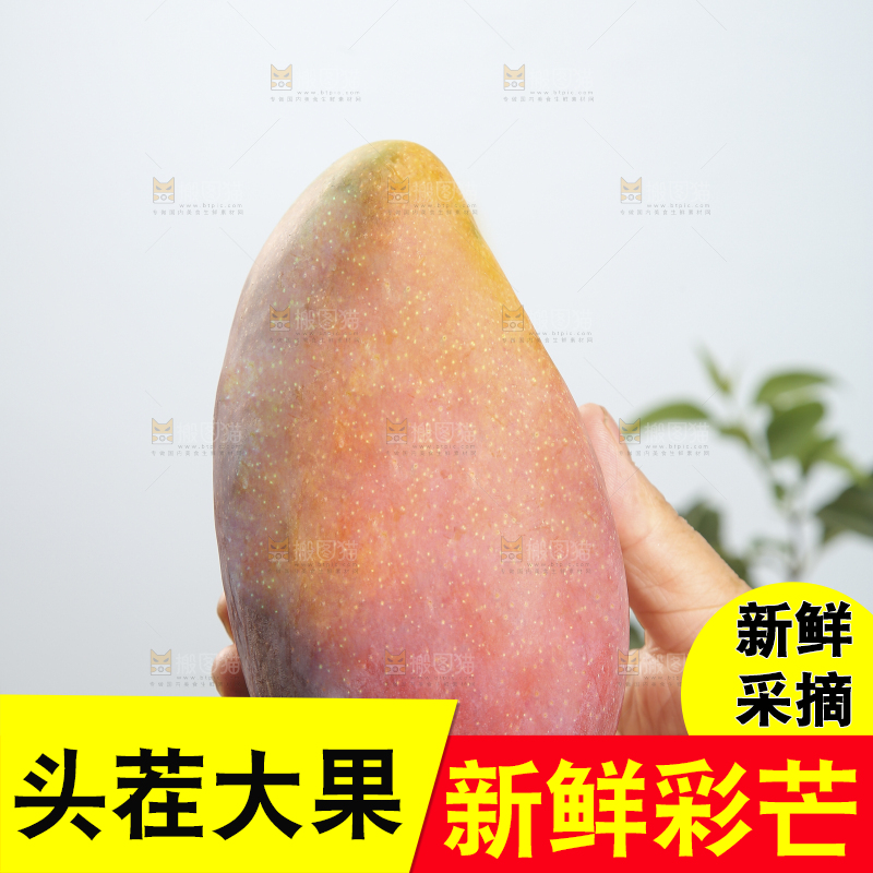 木底上放着的彩芒