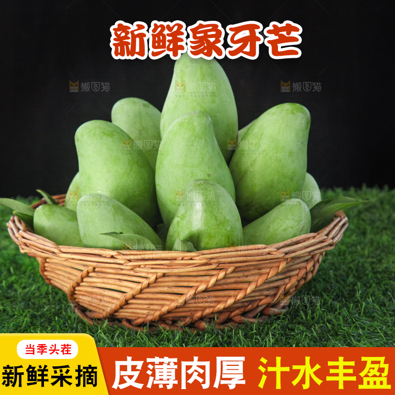 草地上的象牙芒