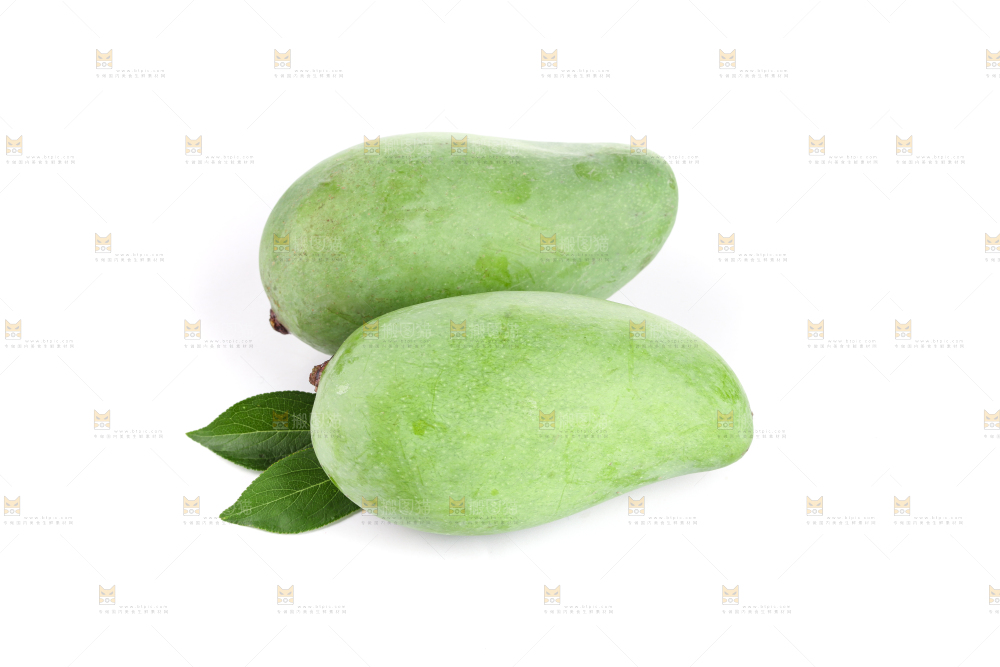 白底上的象牙芒