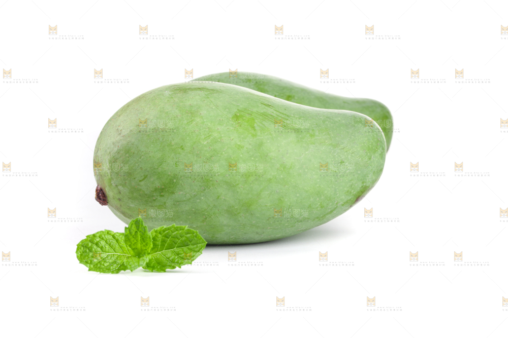 白底上的象牙芒