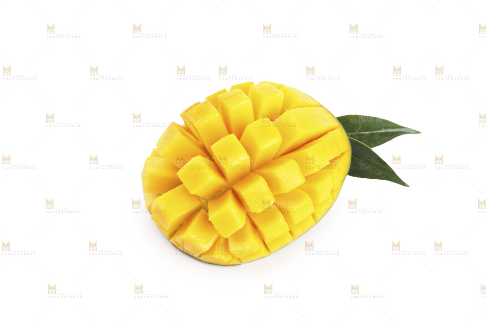 白底上的凯特芒
