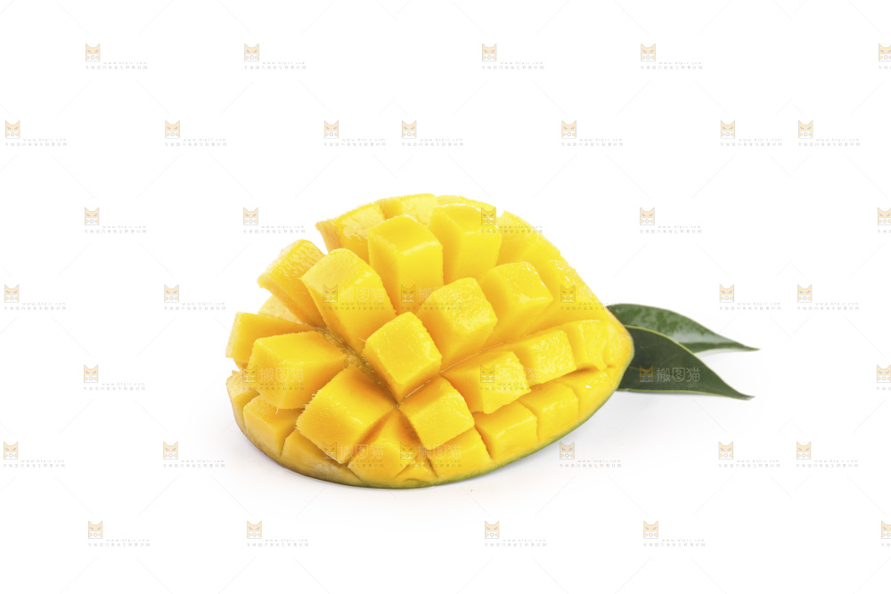 白底上的凯特芒