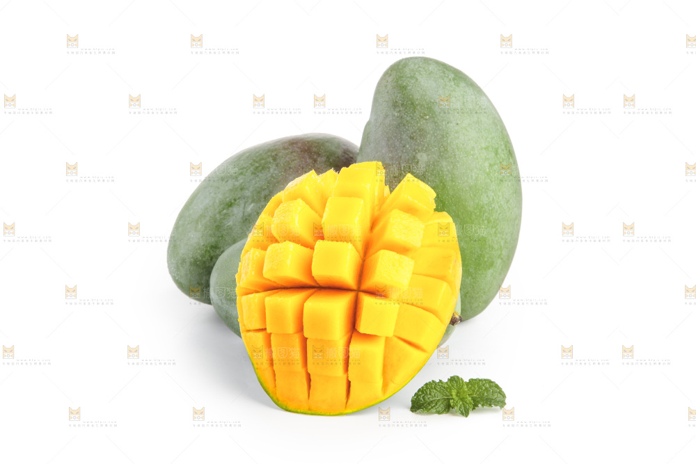 白底上的凯特芒
