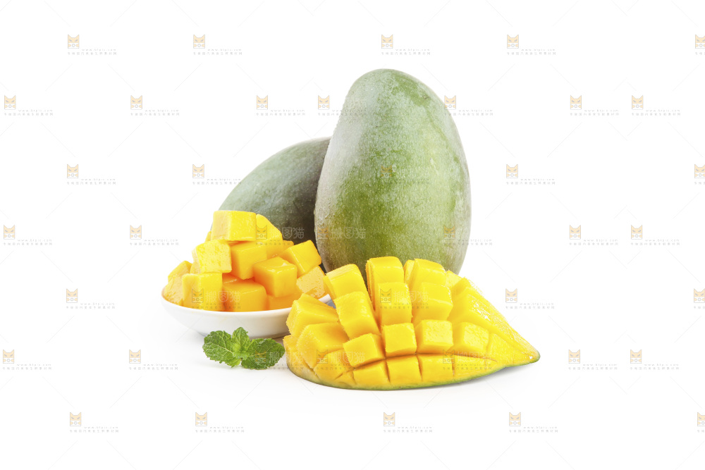 白底上的凯特芒