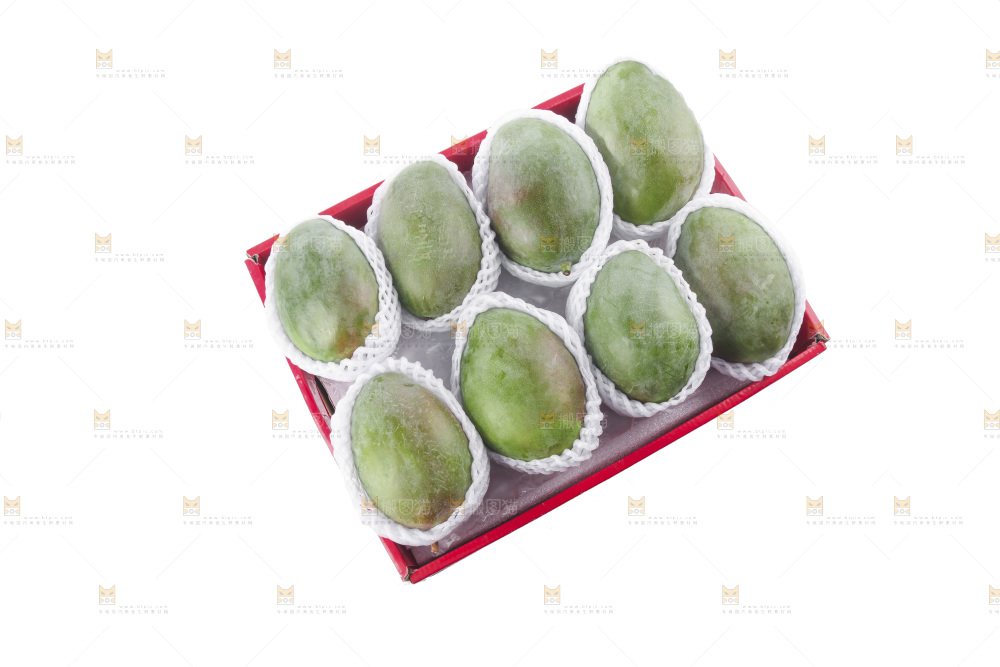 白底上的凯特芒