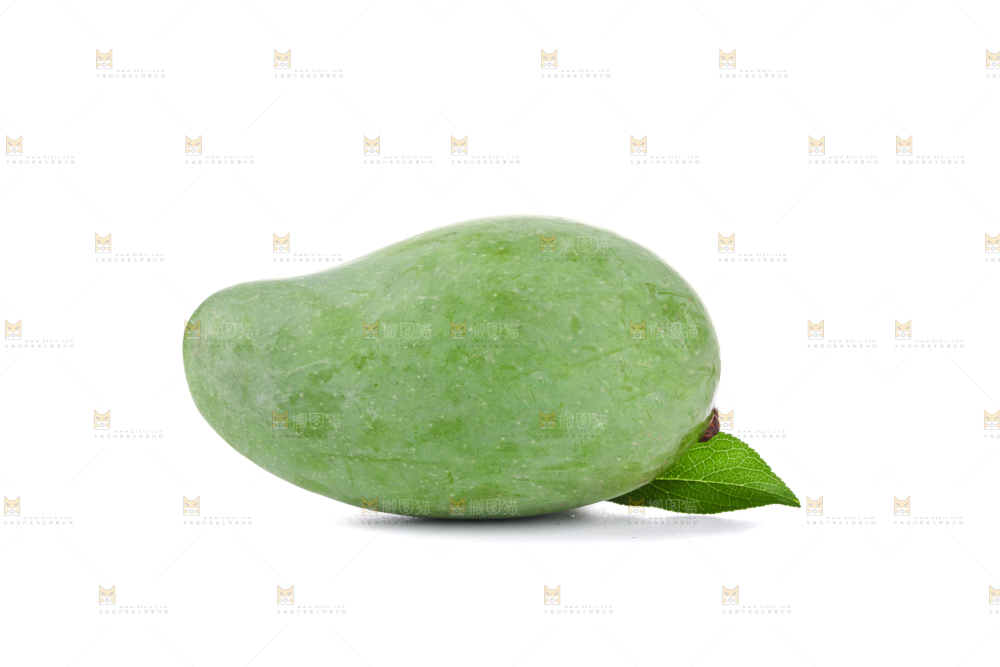 白底上的象牙芒