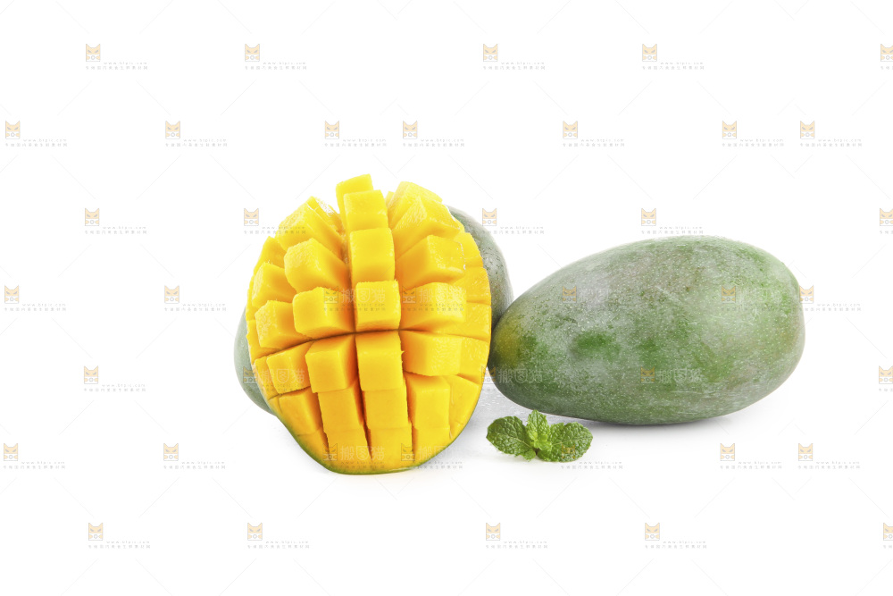 白底上的凯特芒