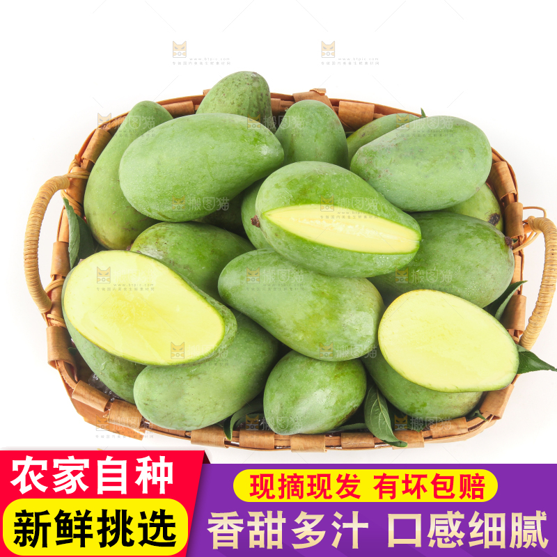 白底上的象牙芒