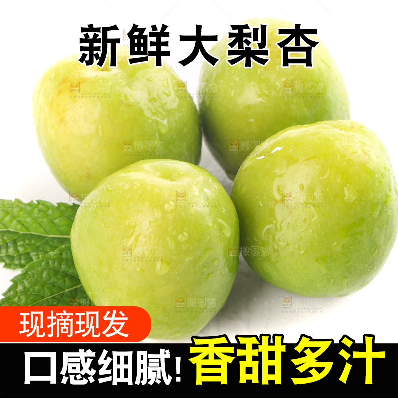 白底上的大梨杏