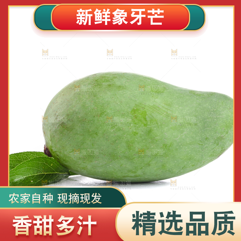 白底上的象牙芒